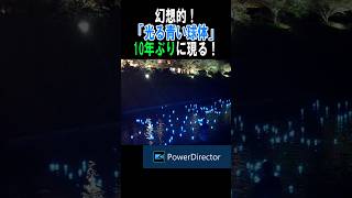 幻想的！南伊豆の川に「光る青い球体」10年ぶりに現る!!【編集版】