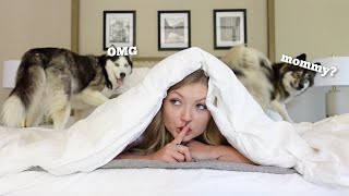 Hiding From My Huskies in a New House!