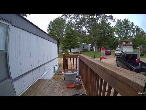 Downey Woodpecker at hummingbird feeder 2