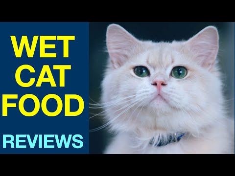 Wet Cat Food Reviews