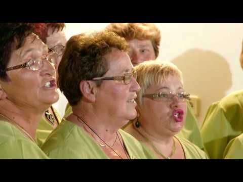 Ljudske pevke Brsljanke   Koroska