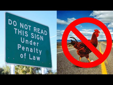 Die seltsamsten Gesetze