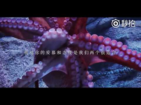 海尔兄弟 走心之作【因为】