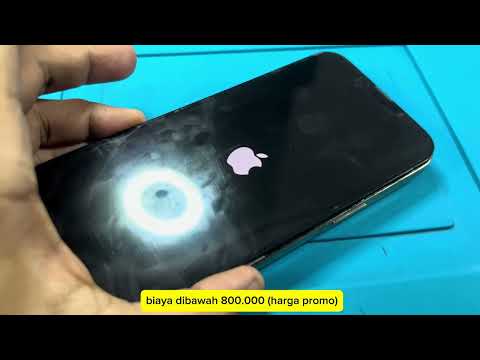iPhone 13 Pro Max Gold Eks iBox ini Mengalami White Screen | Perbiakan Cepat Bisa Ditunggu
