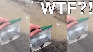 FISH 👏 TANK 👏 REVIEW 👏 EP 51 - 60 COMPILATION