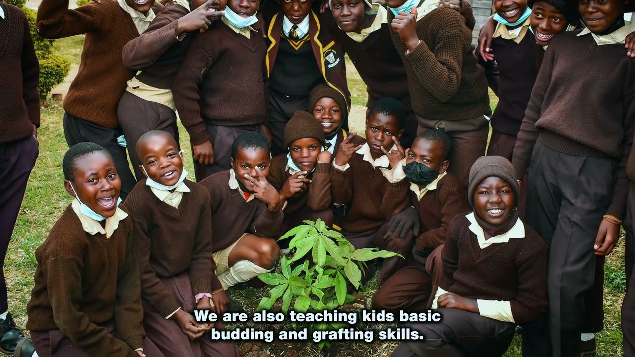 Greening Kuwadzana 5