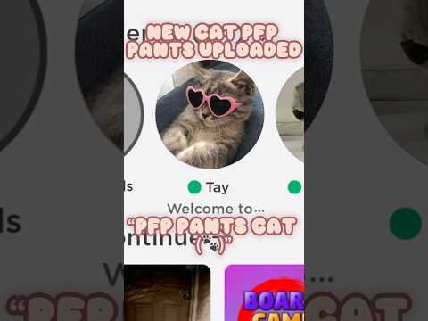 CAT PFP'S IN MY GROUP!!🐱 #roblox #robloxedit #robloxtrend