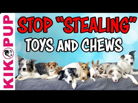 What is Clicker Training