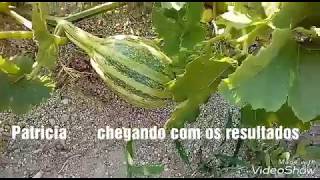 Miniatura do vídeo