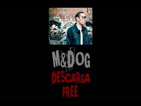 AlisonDkrachz’s Video 120124378297 lACZ3N8GQb8