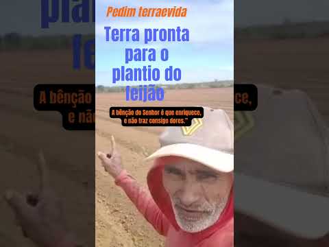 Vida na Roça: Terra Cortada para o Plantio do Feijão