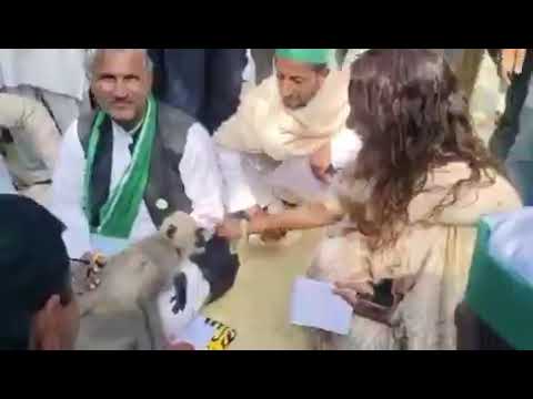 When a Langur stopped Baghpat DM Asmita Lal !🛑❤️