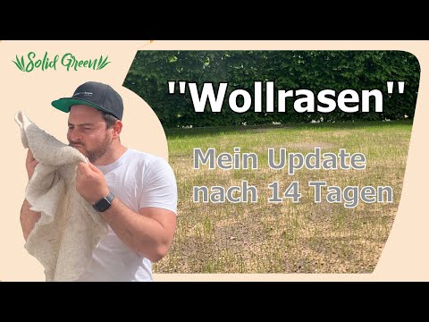 -Wollrasen- Mein Update nach 2 Wochen