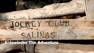 Sidewinder - The Adventure (Original Mix)