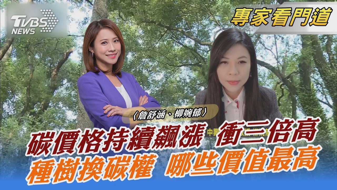 種樹換碳權 台灣林木碳價比較 柳婉郁:吸碳能力越強 總收入越高