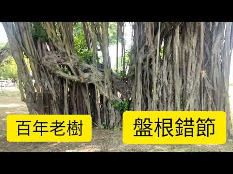 有田建設 九曲堂