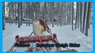 8 min. Of Relaxing Raindeer Sleigh Ride in Finalnd 🇫🇮