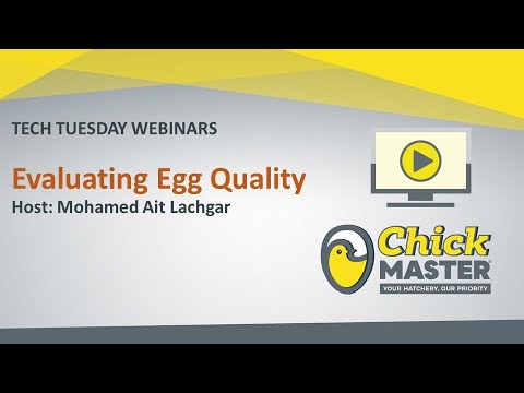 Tech Tuesday: EVALUATING EGG QUALITY - ENG