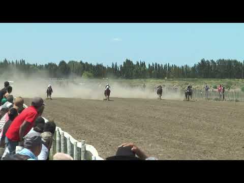 ENANO MALDITO  Club Hipico "Cabo Alarcon" - Picun Leufu  -  15-01-2023