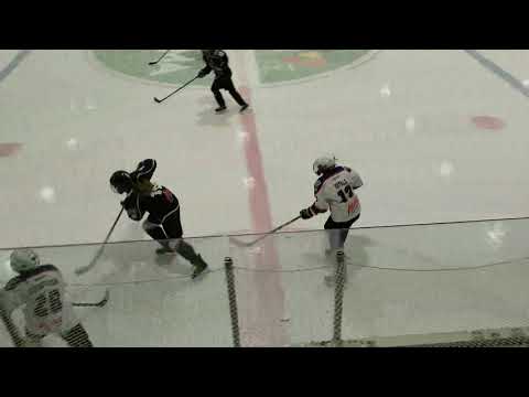 S-Kiekko N Suomisarja - S-Kiekko U13