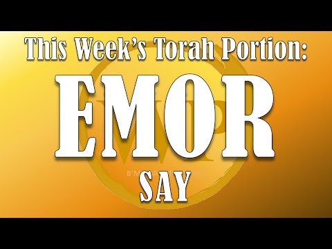 WP TORAH READING EMOR