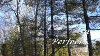 "A Rare Kind of Happiness"