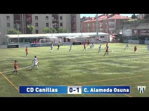Resumen Alevín B - Colegio Alameda de Osuna
