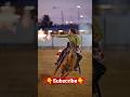 Amazing riding skill #viral #cowgirls #shooting #aim #fire #riding #horseriding #skills #cowboys