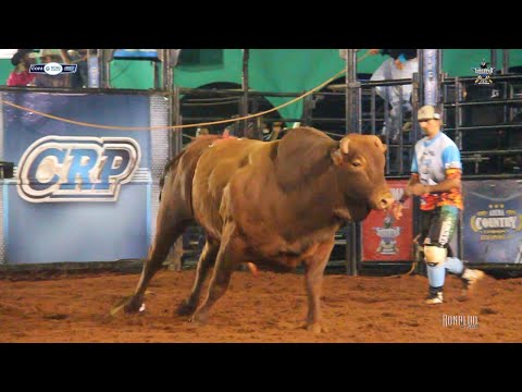 Ibirarema Rodeio Fest 2019 - TOUROS / SEXTA FEIRA