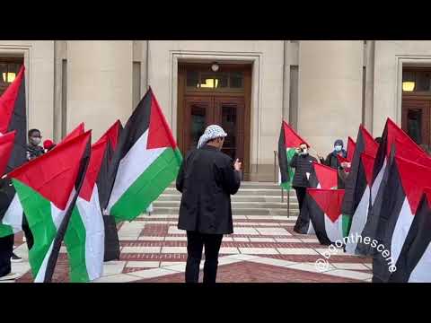 Lina Mahmoud youtube video #2