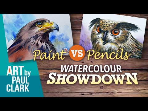 How to Paint an Owl and Hawk - Watercolour Pencils vs Watercolour Paint