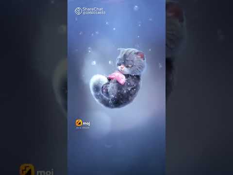 A. Narmatha🥰🥰🥰