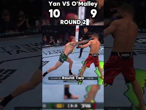AshxMMA video artwork