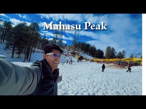 So much snow in Shimla 🥶Kufri Mahasu peak | Snow activities, adventure and fun together | Tourist...