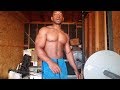 Back and Bicep Workout routine