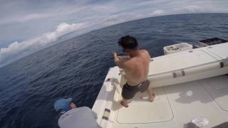 150 lb Tuna on Black hole rod