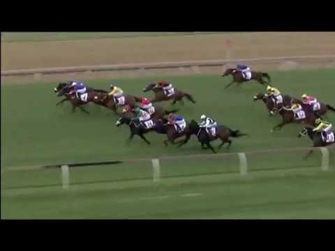 2016.11.26 Magnolia Handicap (RSA) - Green Pepper