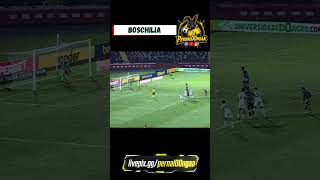 1° Gol do Operário - Boschilia (Botafogo-SP 0x1 Operário-PR) Brasileirão B 14/06/2026