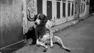 Tom Waits - Chocolate Jesus