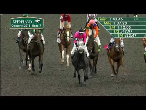 2013 Bourbon S. (G3) - Poker Player