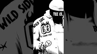 TEE EL FT YOUNG STEFF|WILD SIDE #actor #haveitoldyoulatelythatiloveyou #rapper #interview #solremix