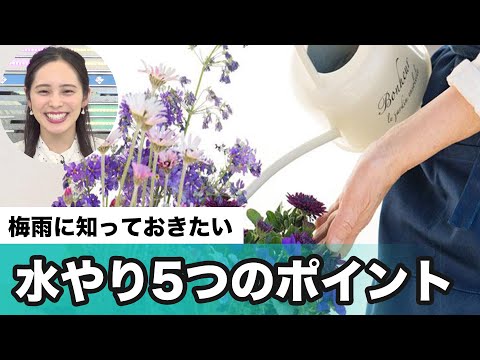 プールの水のメンテナンスを容易にするためのすべてのアドバイス  庭園