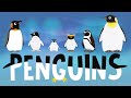 Penguins for Kids: Interesting Facts - Different Types of Penguins for Children. Kids Academy