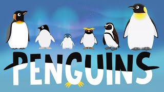Penguins for Kids: Interesting Facts - Different Types of Penguins for Children