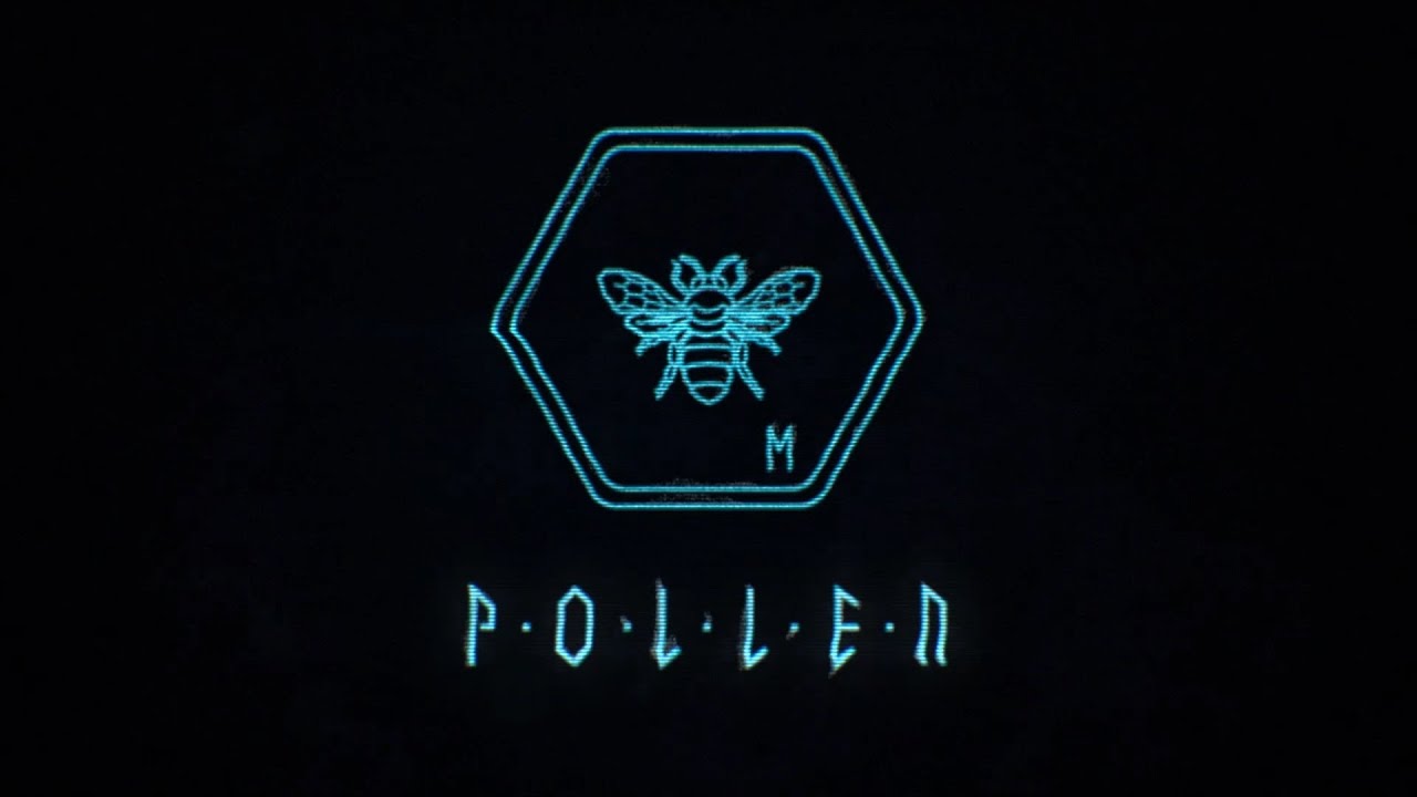 P·O·L·L·E·Nvideo poster