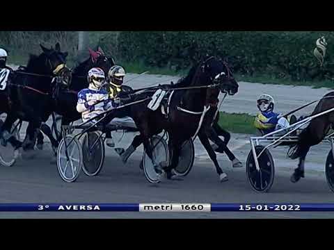 Aversa trotto 15 Gennaio 2022 - 3° Corsa