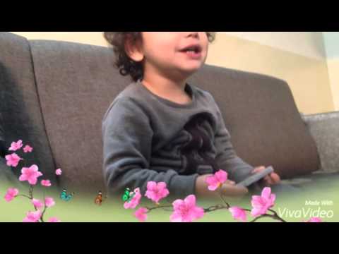 Ram Reber Rushdi - why am i here