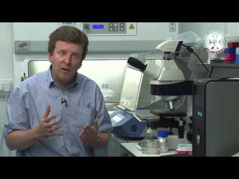 0.0. ASTROBIO - Introduction