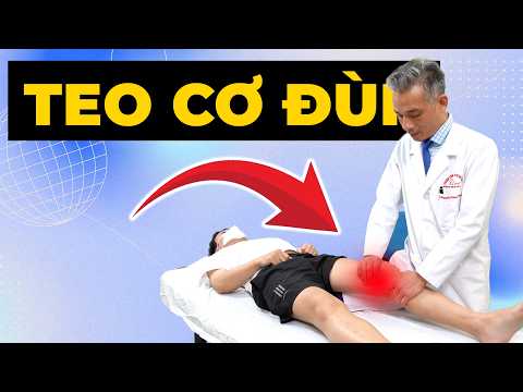 Teo Cơ Đùi: Dấu Hiệu Cảnh Báo Khớp Gối Đang Yếu Dần – Đừng Chủ Quan!