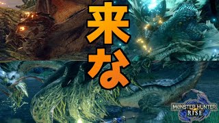 初期装備で飛び級クエストに勝ちに行くカムラの里のハンターの鏡【モンスターハンターライズ/モンスターハンターRISE】